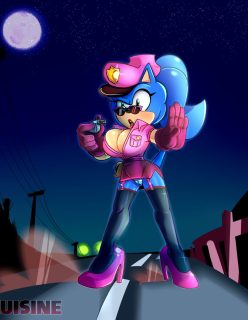 Adventures of Whore Cop (Sonic The Hedgehog) Cuisine