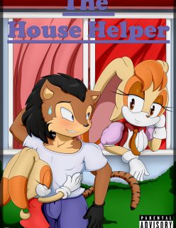 The House Helper (Sonic The Hedgehog) NyuroraXBigdon