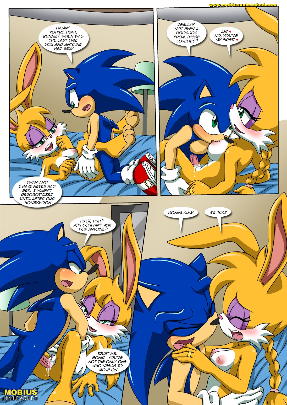 Sonic and Sally Break Up (Sonic the Hedgehog) Palcomix