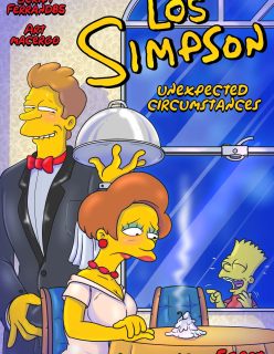 Macergo – Unexpected Circumstances (The Simpsons)